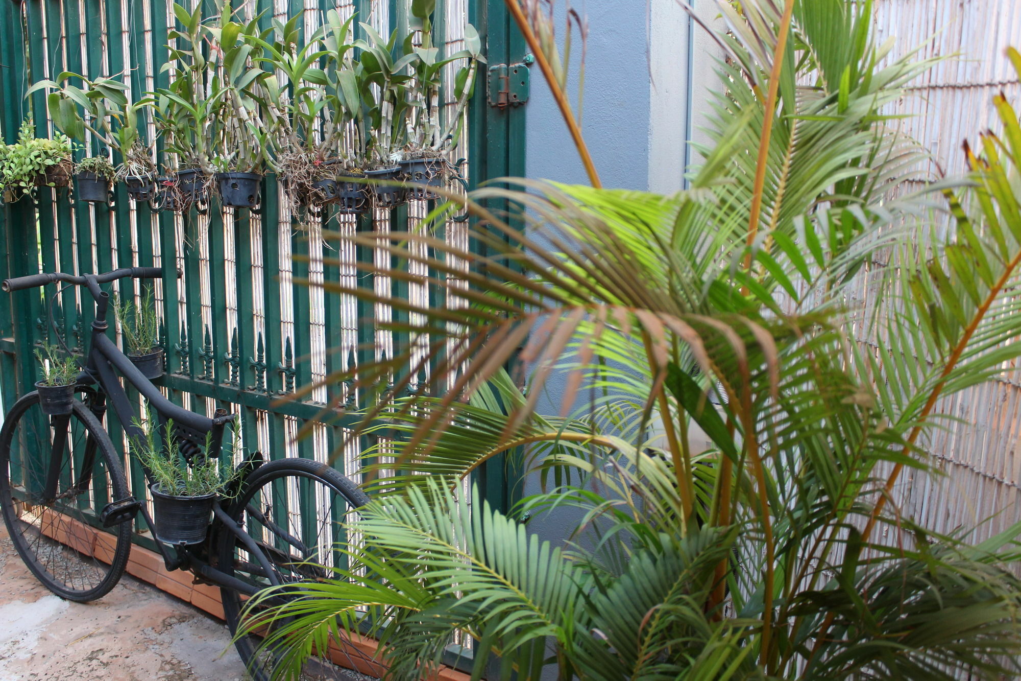 Eco-Home Siem Reap Homestay Exterior foto